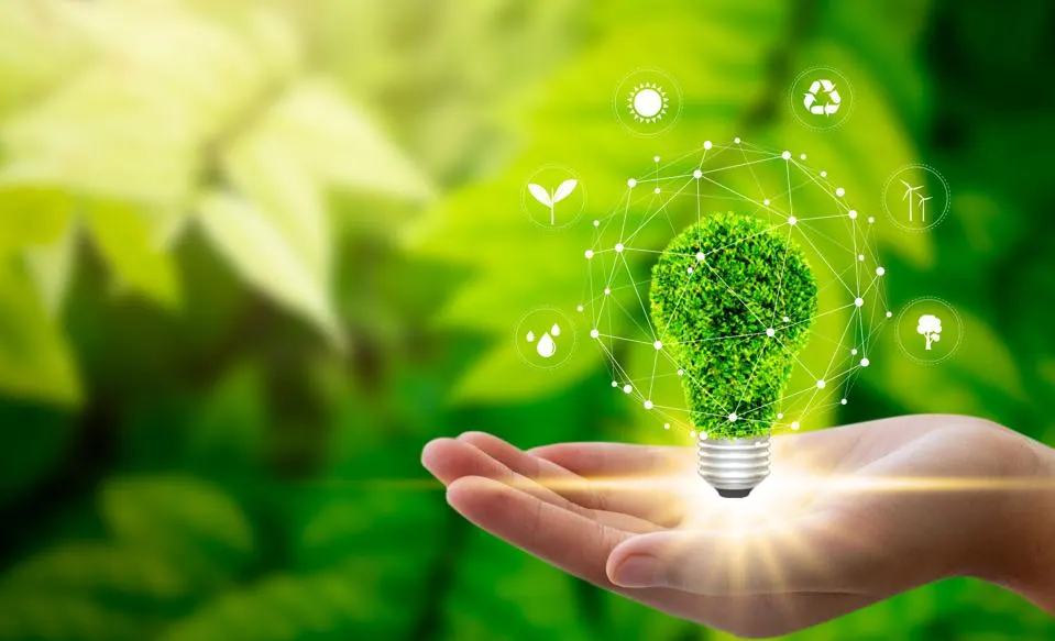 Hand holding lightbulb full of greenery and life, surrounded by lights and leaves.